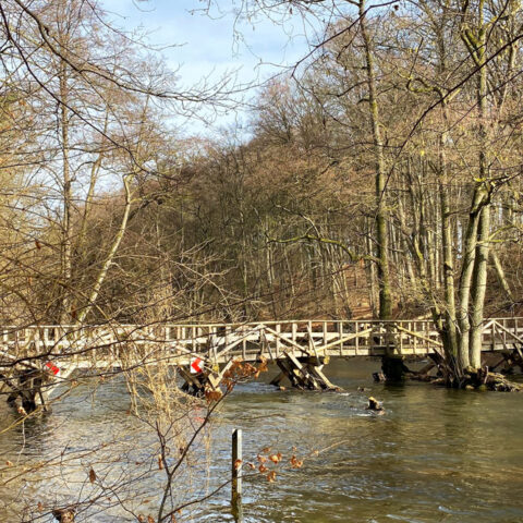 Holzbrücke im Durchbruchstal Warnow-Mildenitz.