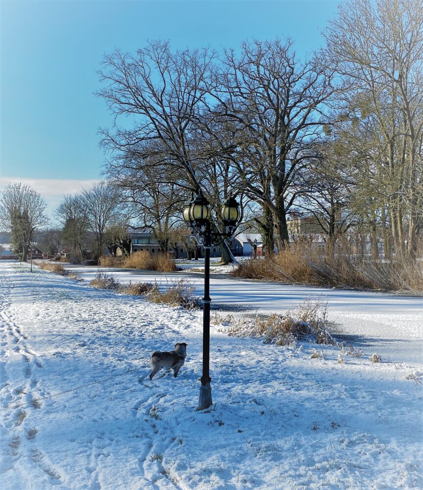Schlosspark Remplin