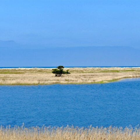 Nationalparktage auf dem Ostzingst